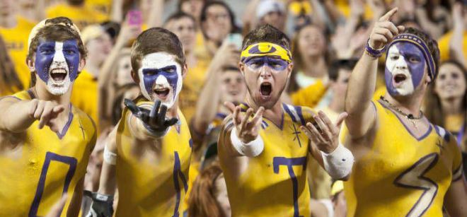 LSU1 crosses erased