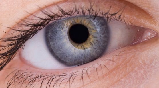EYE_900