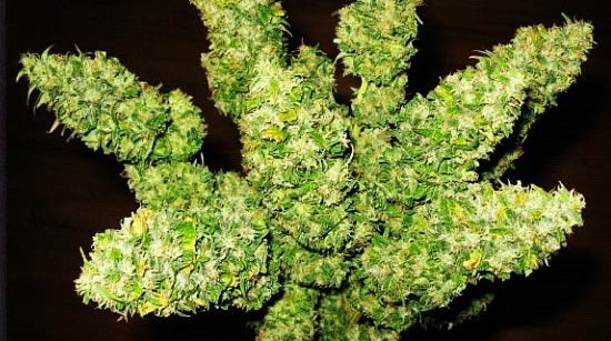 rihanna-instagram-3 pot