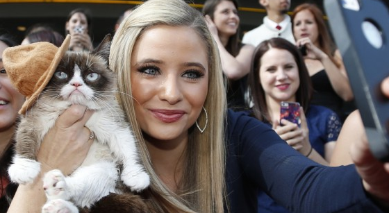 Grumpy-Cat-Reuters