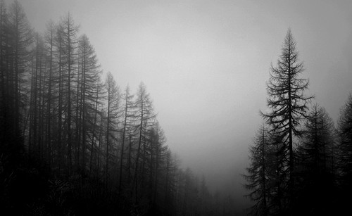 black-amp-white-black-and-white-dark-darkness-favim-com-417159