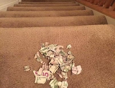 money $$$