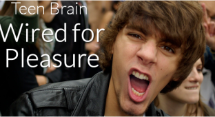wired-for-pleasure