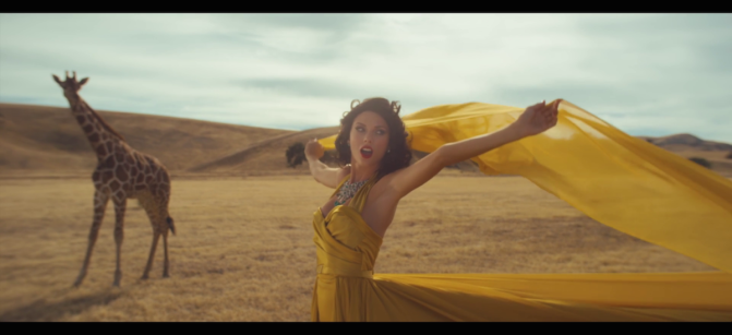 wildestdreams TAYLOR
