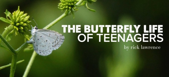 butterfly-life_768x480-768x485
