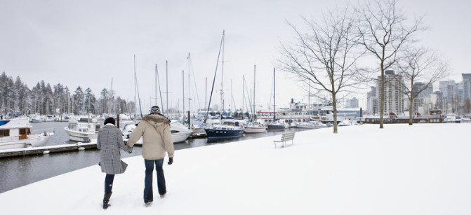 snow family