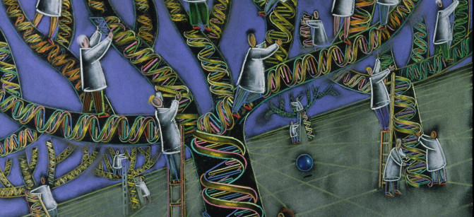 mitochondrial-dna_smaller