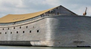 noah's ark