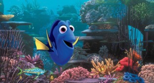 20DORY-WEB1-master768