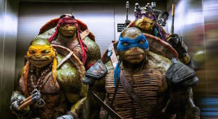 TEEN TURTLES