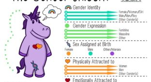 gender unicorn