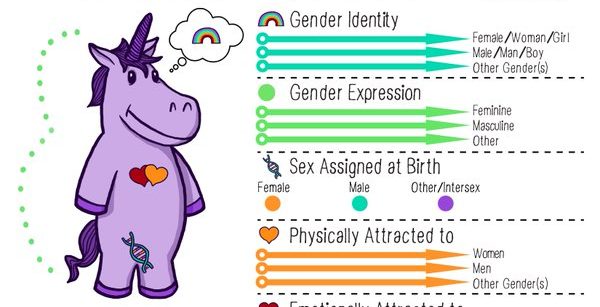 gender unicorn