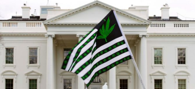 pot-flag