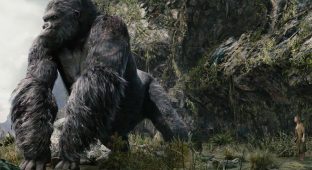 kong WILD NATURE