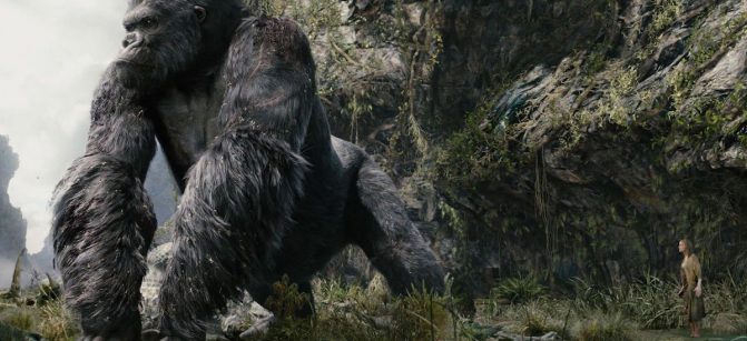 kong WILD NATURE
