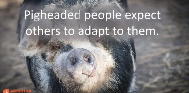pigheaded-people-expect-you-to-adapt-to-them1