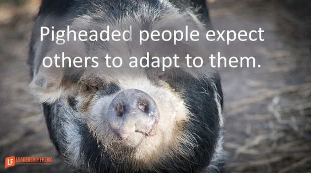 pigheaded-people-expect-you-to-adapt-to-them1