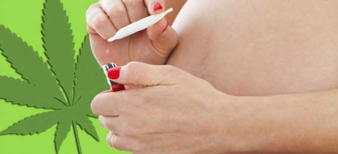 Pregnancy and unhealthy vices - Cannabis
